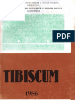 06 Tibiscum VI 1986 Caransebes