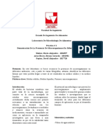 Informe 1, Laboratorio de Microbiología.