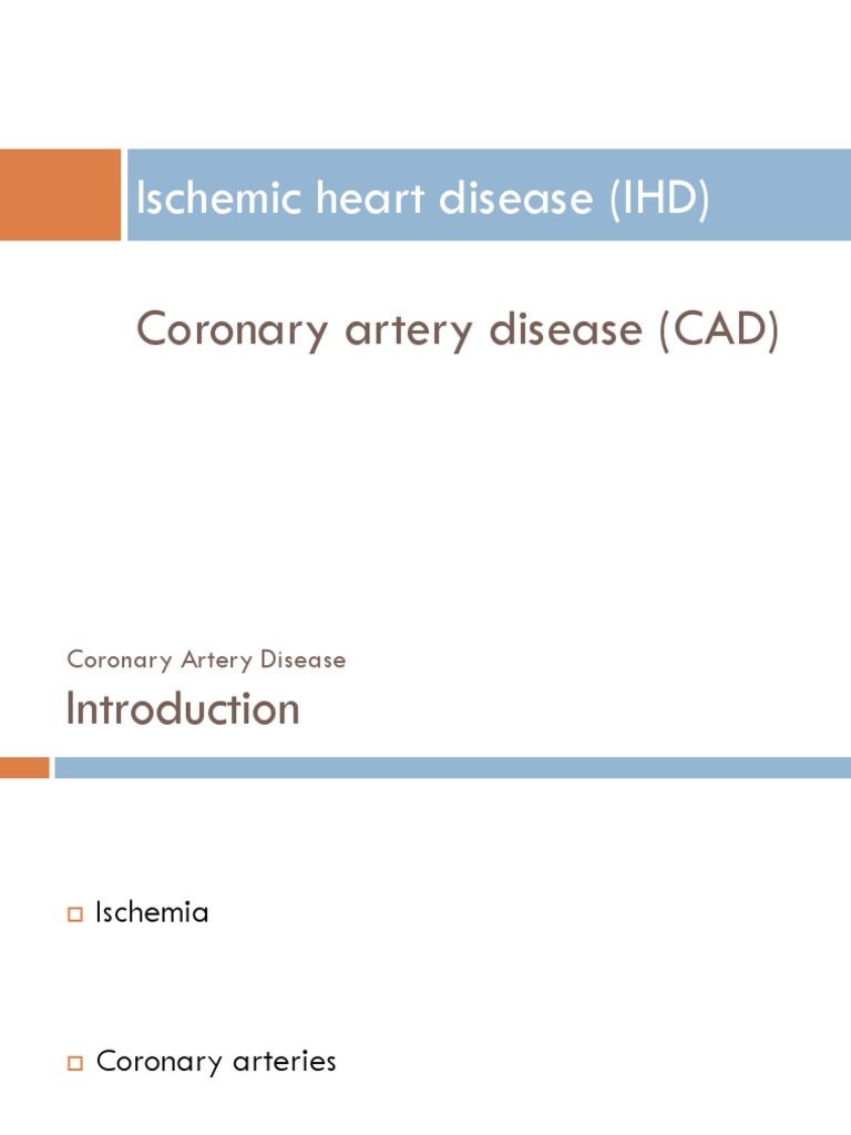 Understanding Coronary Artery Disease | PDF | Myocardial Infarction ...