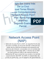 Network Access Point (NAP)