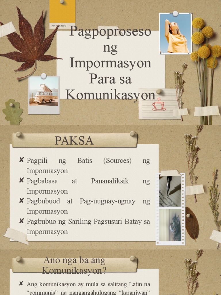 BATIS NG IMPORMASYON Report | PDF