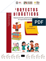 Proyectos - Didácticos - 6 GRADO