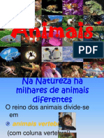 Animais Vertebrados e Invertebrados