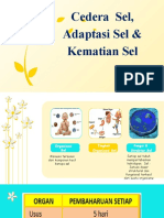 Cedera, Adaptasi & Kematian Sel