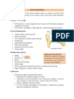 Otitis externa y sus causas