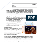 Week 7 Lesson: 1: Grade Level:12 Subject: General Biology I TOPIC: Exocytosis and Endocytosis