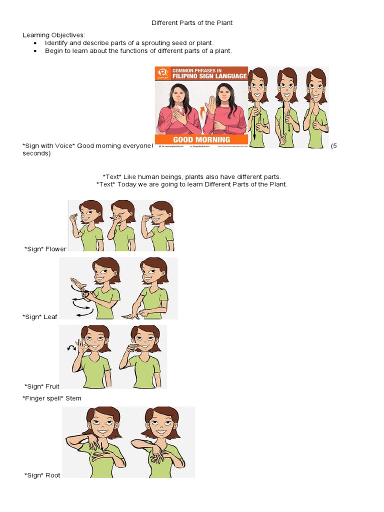 ASL Signs for Plant Parts | PDF | Home & Garden | Science & Mathematics