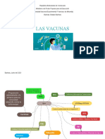 Mapa conceptual, esquema sobre las vacunas