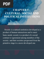 Cultural, Social and Political Institutions