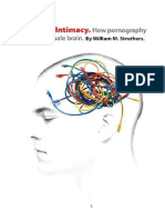 Wired For Intimacy: How Pornography Hijacks The Male Brain - William M. Struthers