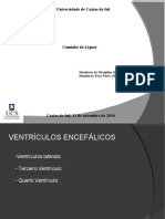 UCS Anatomia Ventrículos