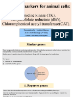 Selectable Markers For Animal Cells: Thymidine Kinase (TK), Dihydrofolate Reductase (DHFR), Chloramphenicol Acetyl Transferase (CAT)