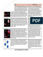 Actividad Texto Informativo 4to (TEORIA)