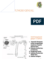 1. Fungsi Ginjal