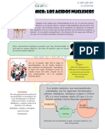 Acidos Nucleicos 25-06