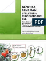 Struktur Sel Dan Fungsi Organel