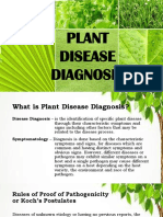 2C Plant Disease Diagnosis