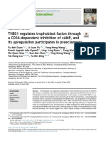 THBS1 Regulates Trophoblast Fusion Through A CD36-dependent Inhibition of cAMP, and Its Upregulation Participates in Preeclampsia