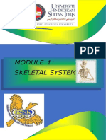 A211 Module 1 Skeletal