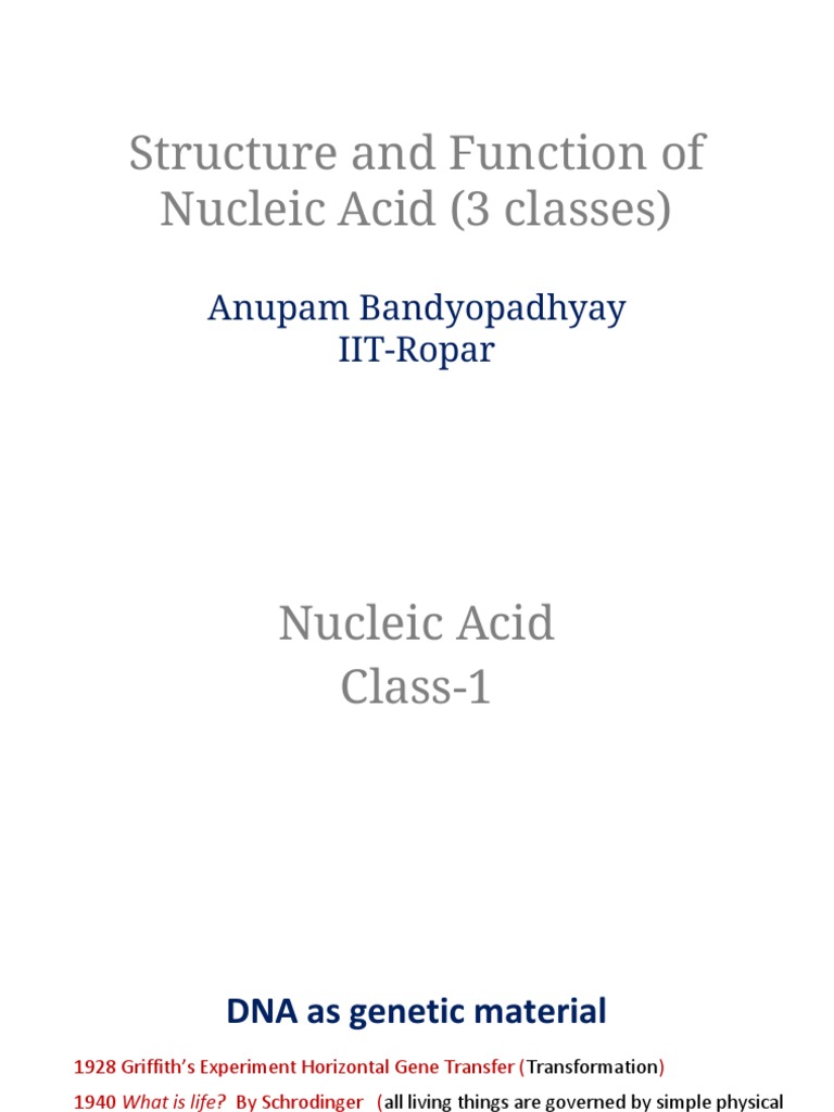 Nucleic Acids PDF Polymerase Chain Reaction Dna
