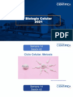 Biología Celular-Ciclo Celular Meiosis-14-16