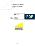 Proiect Practica Selgros - Compress