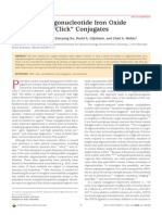 Polyvalent Oligonucleotide Iron Oxide Nanoparticle "Click" Conjugates