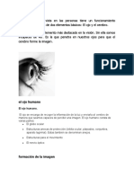 Funcionamiento Del Ojo 1 Diapositiva