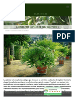 Fertilisation+du+palmier+%3A+comment+fertiliser+un+palmier+%3F_1639047112320