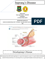 Referat - Radya Agna Nugraha - 1920221142 - Hirsprung Disease