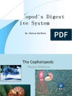 Cephalopod's Digest Ive System: By: Maricar Barillano