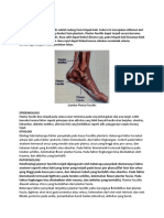 DD Plantar fasciitis pspt