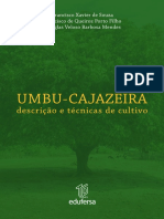 Umbu Cajazeira 2020 V Eletronica