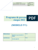 Programa Anual de Prevencion 2022 Modelo 1