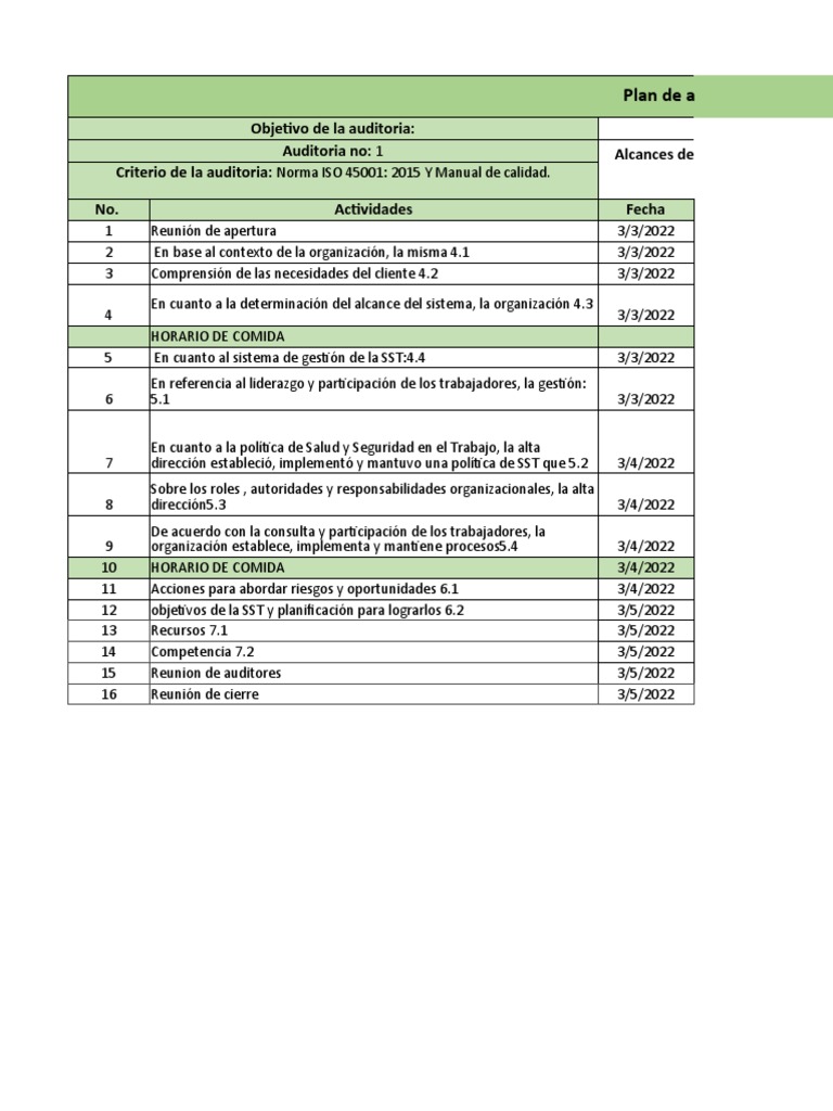 Plan de Auditoría Interna ISO 45001 | PDF | Auditoría | Business