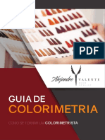 E-Book Guia de Colorimetria Capilar