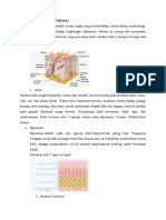 Materi Perawatan Luka