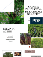 Cadena Productiva de La Palma de Aceite