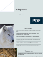 Arctic Wolves & Kangaroo Rats Adaptations