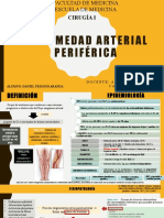 Enfermedad Arterial Periférica