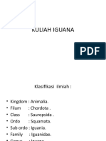 Kuliah Iguana