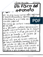 Examen Fisico Del Potro Neonato