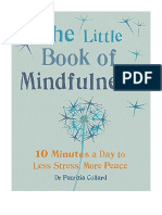 Little Book of Mindfulness: 10 Minutes A Day To Less Stress, More Peace - Patricia Collard