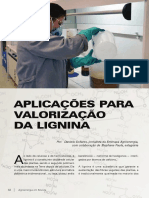 Aplicações da lignina para valorização da biomassa