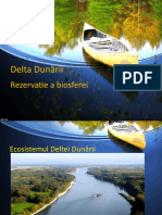 Delta Dunării: Rezervatie A Biosferei