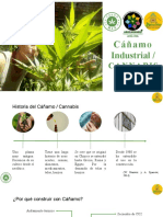 Precentacion Cañamo - Cannabis 30-Oct-2021