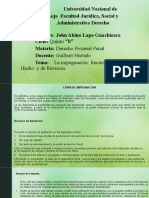 Recursos de impugnación en el proceso penal: Apelación, Casación, Revisión