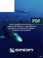 Guia Tubaroes