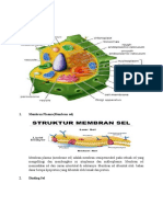 Organel Sel Lainnya