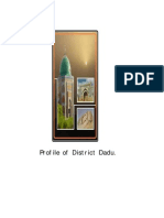 Download DADU Profile by Aasia Farooqi SN54588869 doc pdf